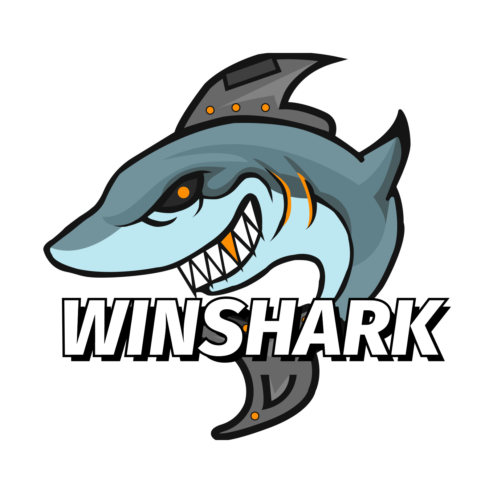 Winshark